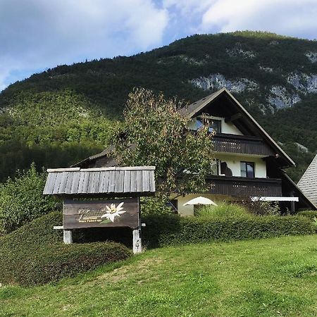 Charming And Cozy Apartment Sara Bohinj Exterior photo